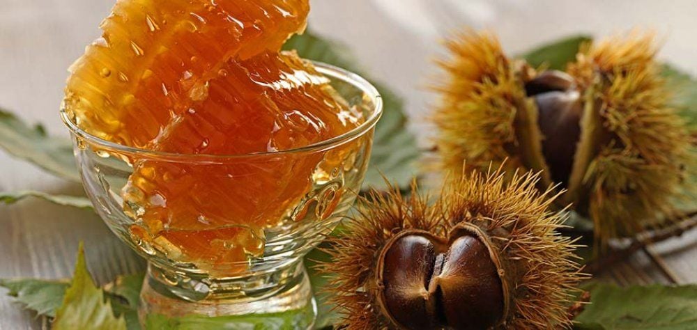 Kaz Dağı Kestane Balı 1 KG